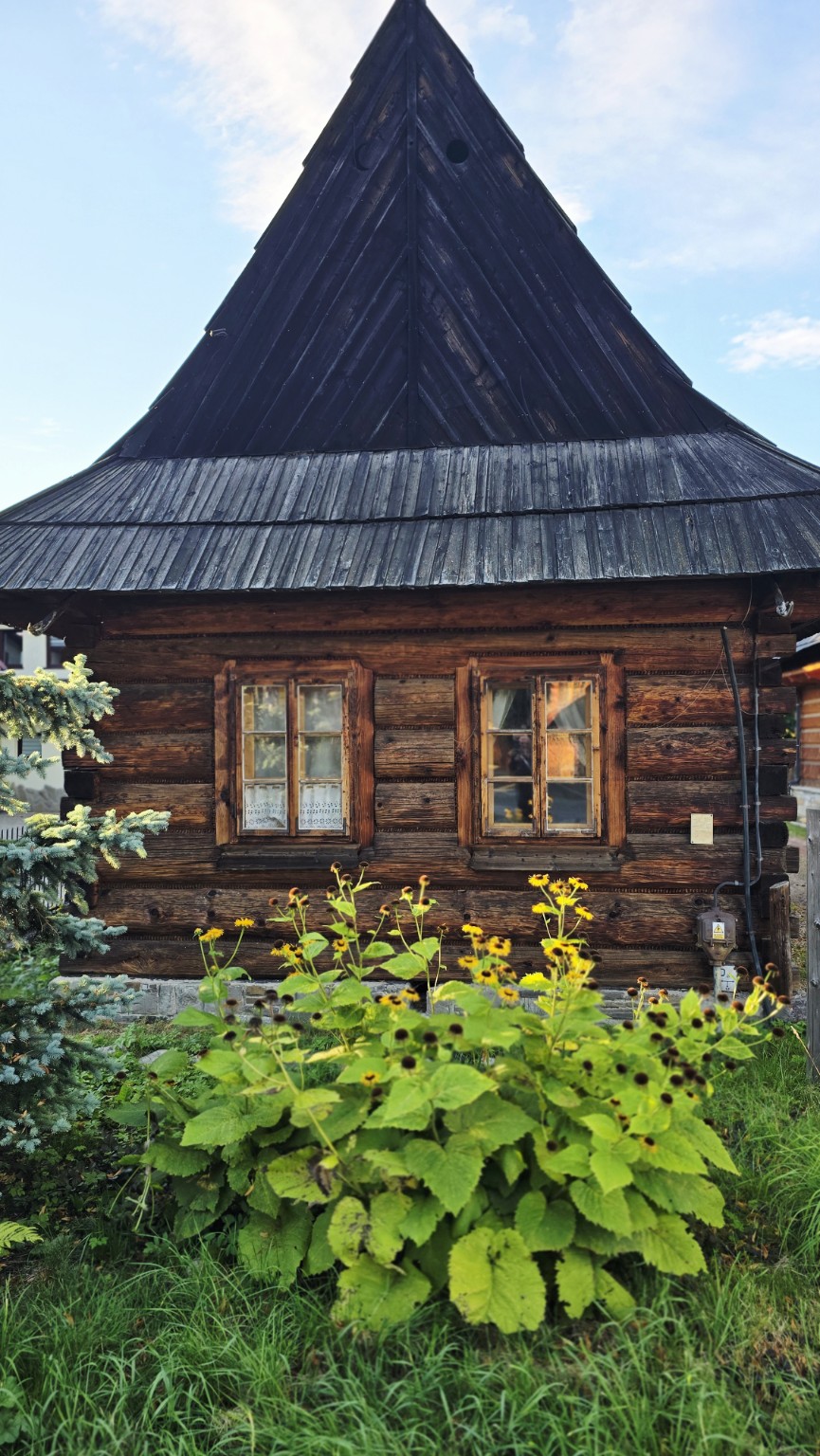 Stary drewniany dom i kwiaty